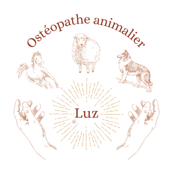 Luz Ostéopathe Animalier Pays Basque