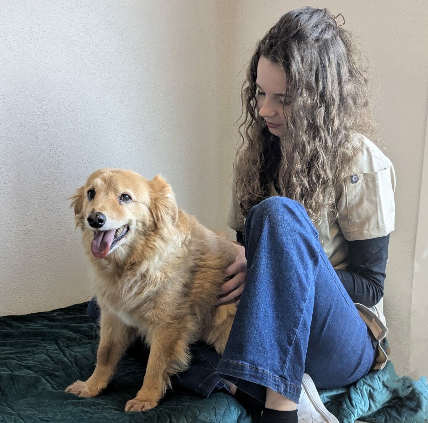 Consultation chien au cabinet