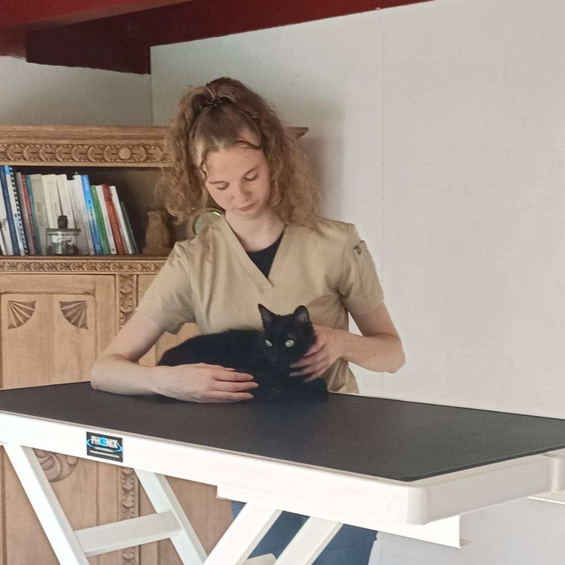 Félin Chat consultation table cabinet Ascain